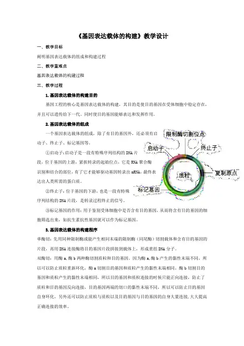 基因表达载体的构建 教学设计