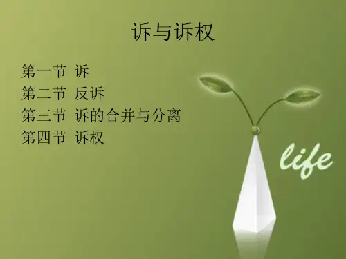 司法考试课件：诉权与诉