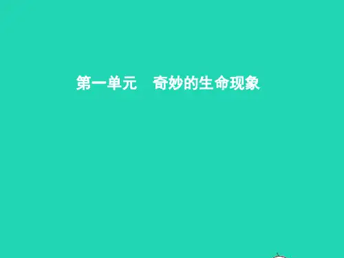 七年级生物上册 1.1.1 生物的基本特征课件 (新版)济南版