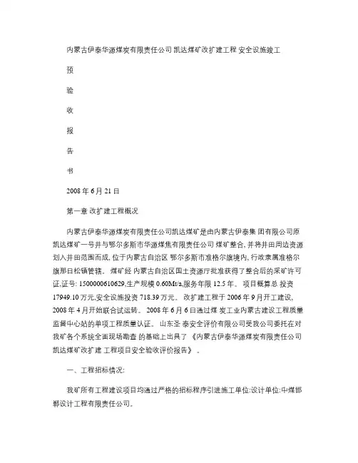 安全预验收报告书1(精)