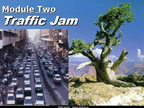 《Module 2 Traffic Jam》(外研版必修4)