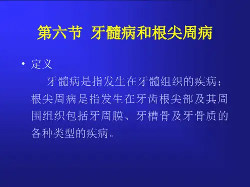 牙髓及根尖周病