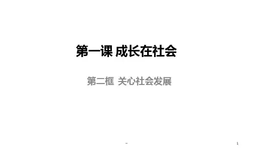 关心社会发展PPT课件