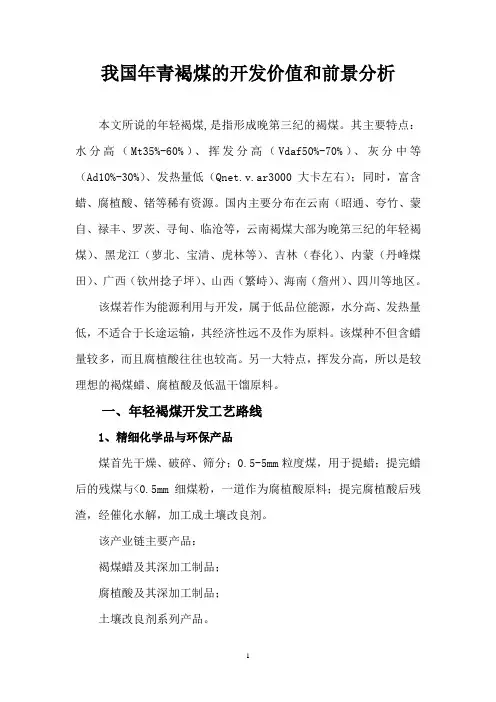 我国年青褐煤的开发价值和前景分析