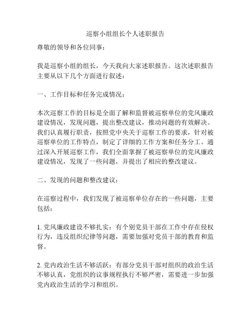 巡察小组组长个人述职报告