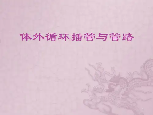 体外循环插管与管路ppt课件