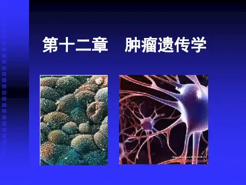 08肿瘤遗传学