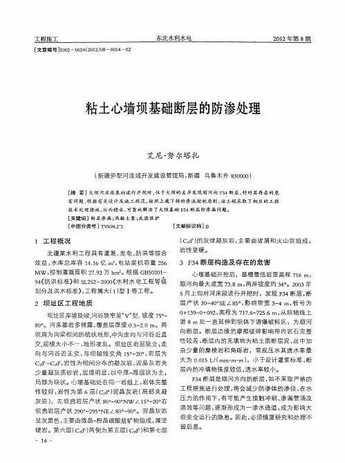 粘土心墙坝基础断层的防渗处理