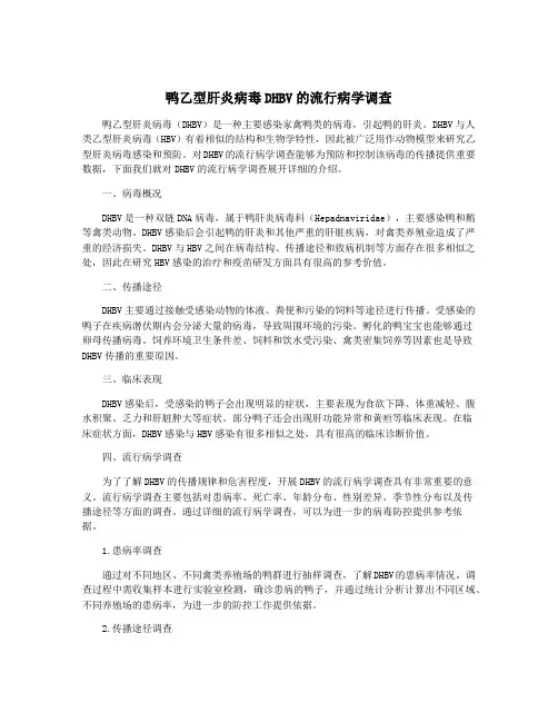鸭乙型肝炎病毒DHBV的流行病学调查