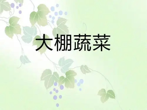 《大棚蔬菜》农田PPT课件2