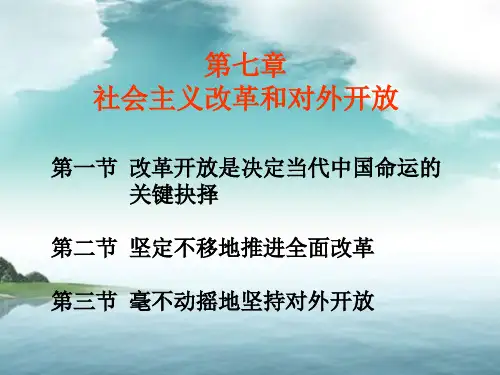 毛概第七章第一节