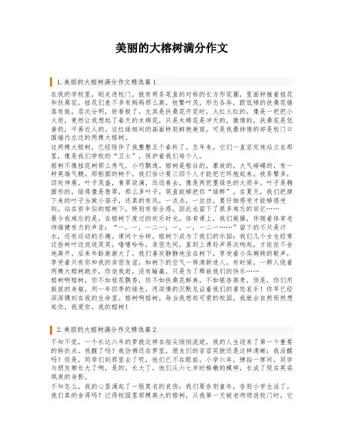 美丽的大榕树满分作文