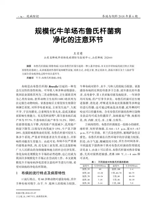 规模化牛羊场布鲁氏杆菌病净化的注意环节