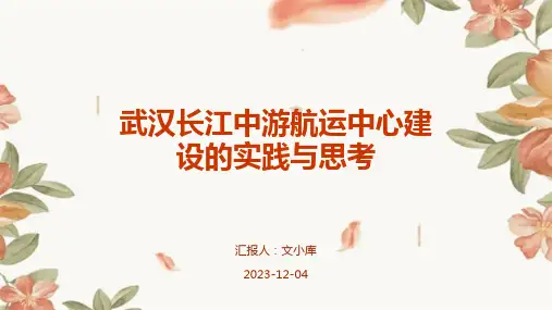 武汉长江中游航运中心建设的实践与思考