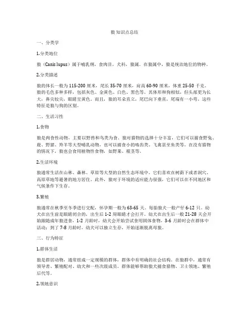狼 知识点总结