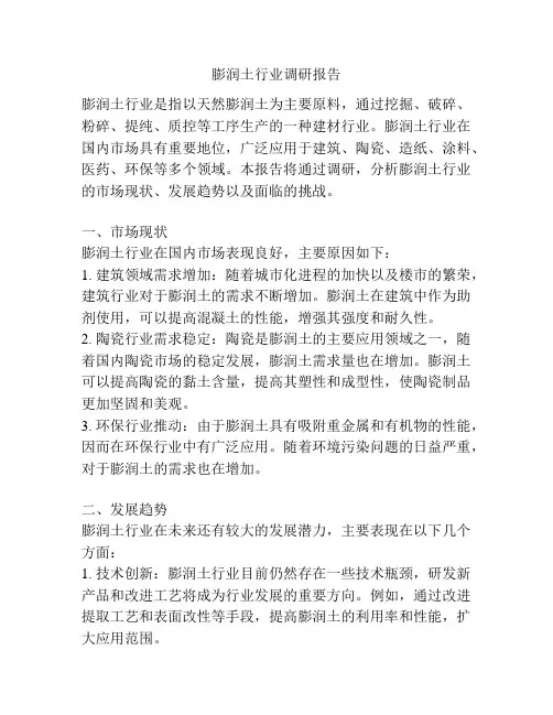 膨润土行业调研报告