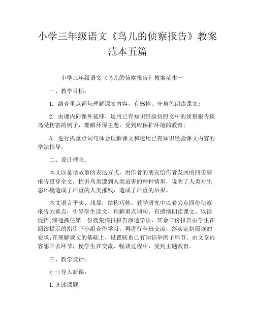 小学三年级语文《鸟儿的侦察报告》教案范本五篇