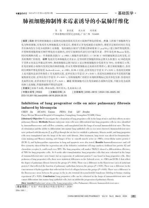 肺祖细胞抑制博来霉素诱导的小鼠肺纤维化