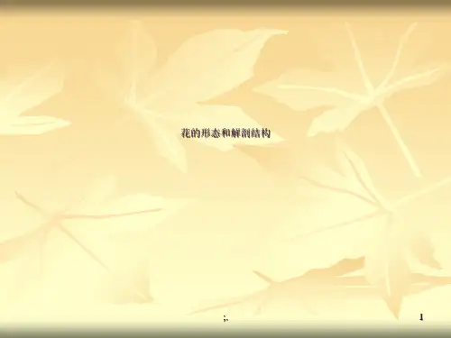 花的形态和解剖结ppt课件