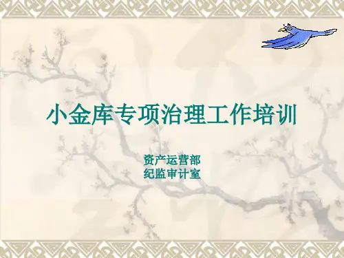 小金库专项治理工作培训.ppt