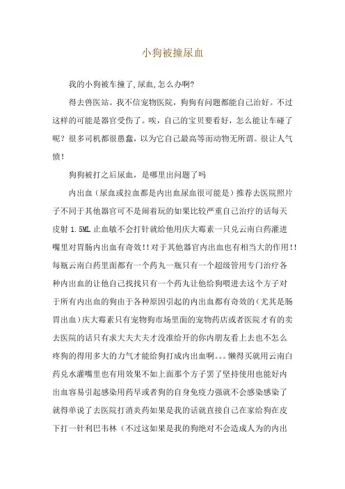 小狗被撞尿血
