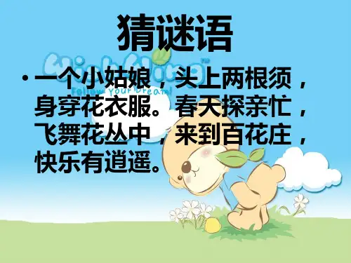 蝴蝶的一生