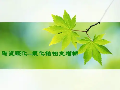 氧化锆相变增韧陶瓷