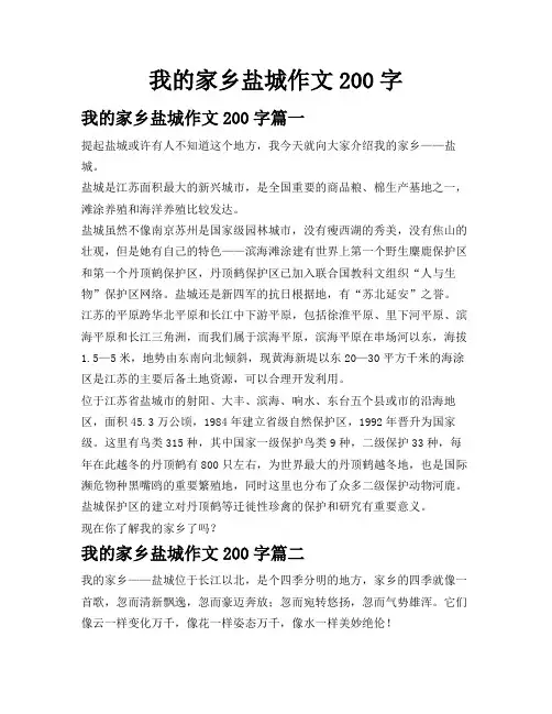 我的家乡盐城作文200字
