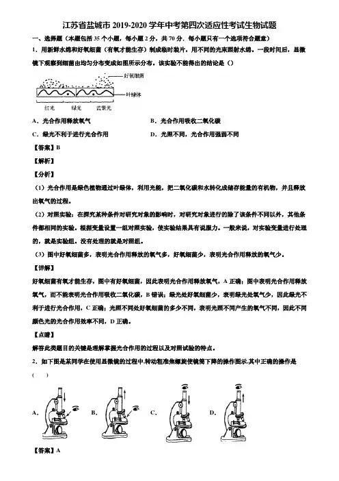 江苏省盐城市2019-2020学年中考第四次适应性考试生物试题含解析