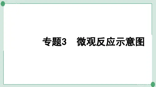 中考化学系统复习专题3微观反应示意图