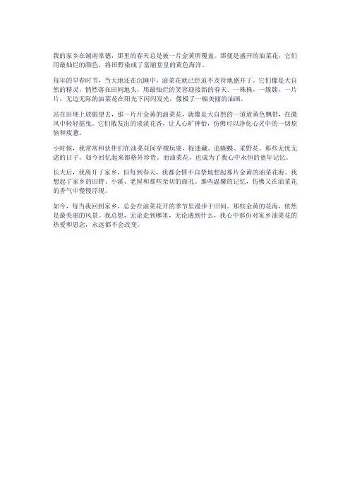 家乡的油菜花