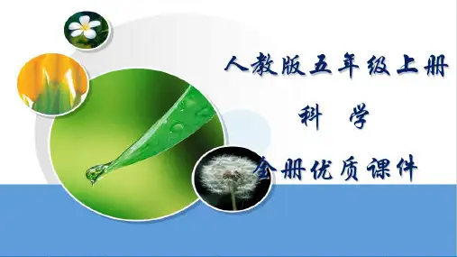 人教版科学五年级上册全册课件