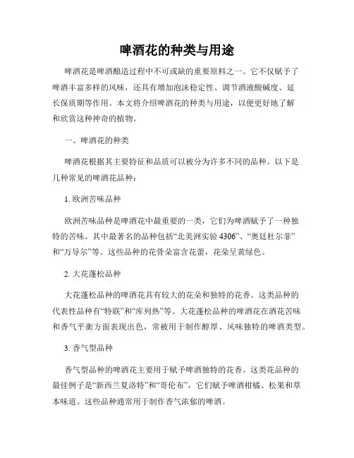啤酒花的种类与用途
