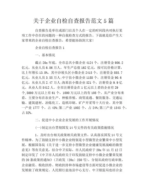 关于企业自检自查报告范文5篇