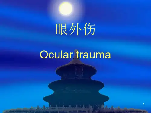 眼科学眼外伤ppt课件