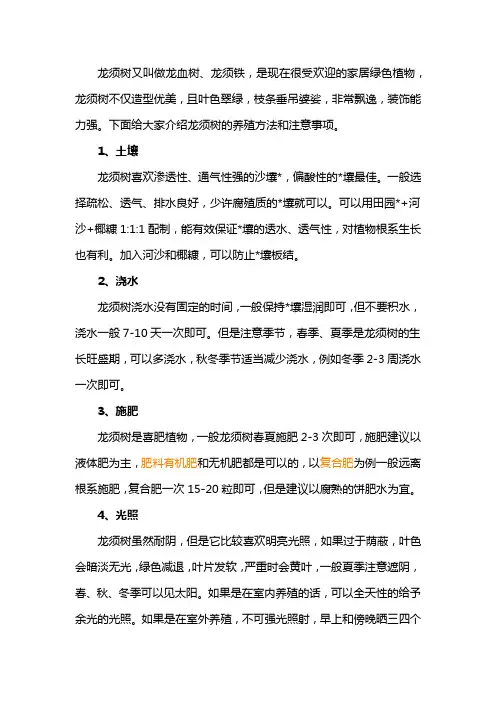 龙须树怎么养