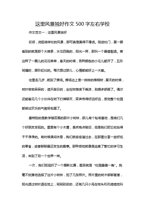 这里风景独好作文500字左右学校