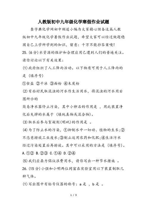 人教版初中九年级化学寒假作业试题