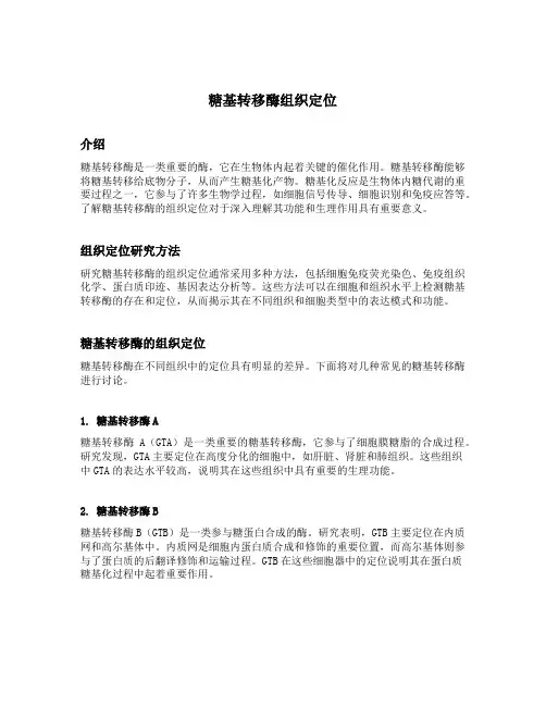 糖基转移酶组织定位
