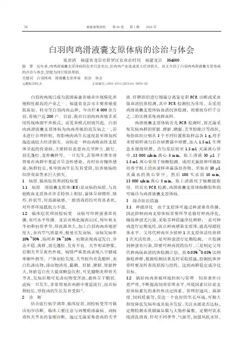 白羽肉鸡滑液囊支原体病的诊治与体会