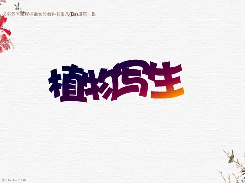 四年级下册美术《植物写生》ppt