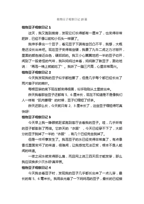 植物豆子观察日记10篇