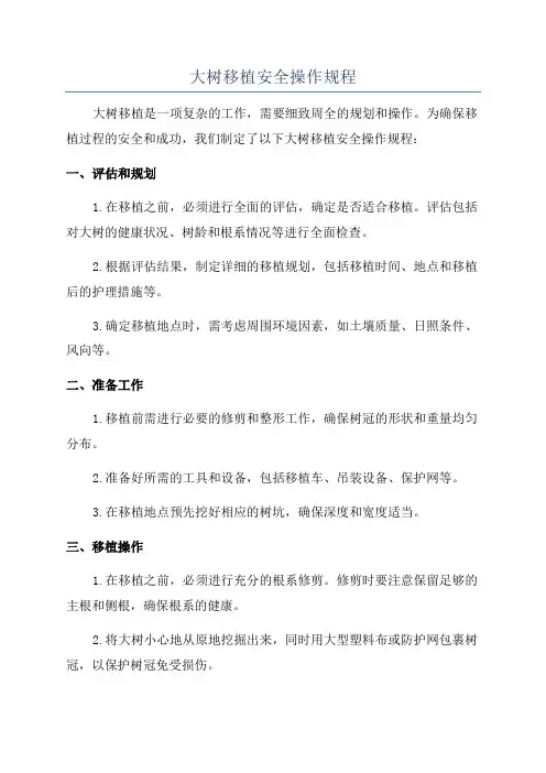 大树移植安全操作规程