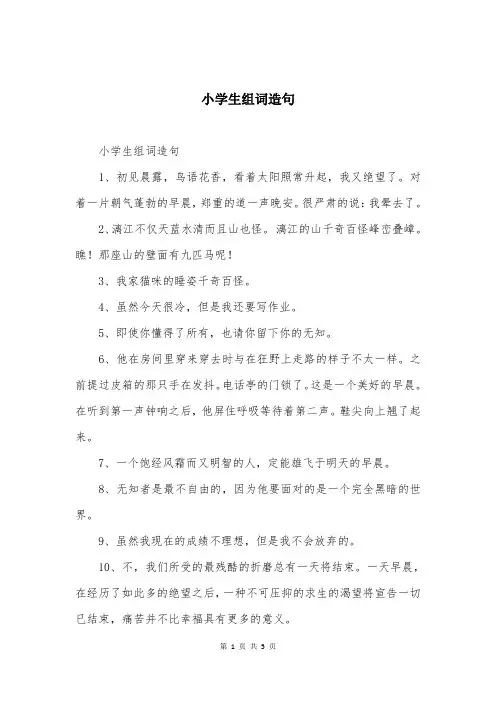 小学生组词造句