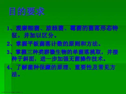 实验四微生物的菌落形态观察平板菌落计数及菌种保藏(张理珉)