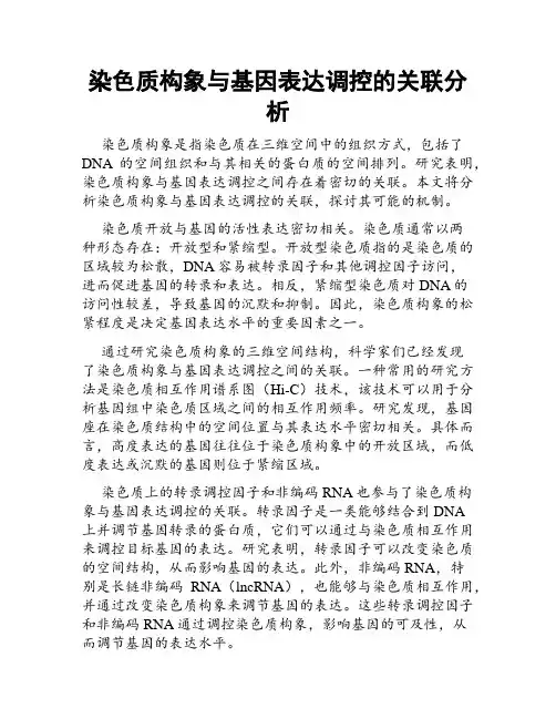 染色质构象与基因表达调控的关联分析