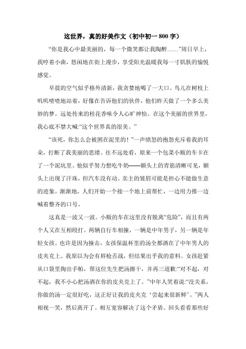 这世界,真的好美作文(初中初一800字).doc