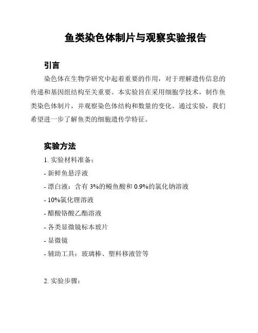 鱼类染色体制片与观察实验报告