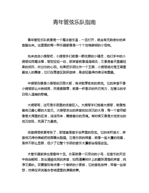 青年管弦乐队指南