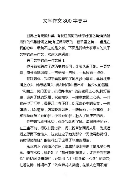 文学作文800字高中